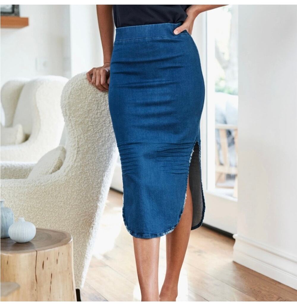 Frank & Eileen Donegal Denim Skirt, Size 2 - New